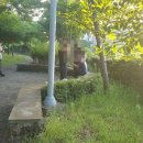 사다줄게