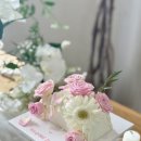 대구 케이크 아호페 케이크 ahope cake 당일 예약 가능한 레터링 케이크, 기념일 브라이덜 샤워 케이크...