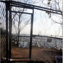 독정2리 이미지