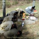 안동포마을 이미지