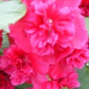 사랑한스푼 이미지