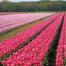 화성센트럴파크 도서관 이미지