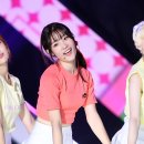 팡팡 더쎈뉴스