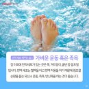 면역&족욕 네이버블로그