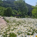 구례소나무정원 이미지