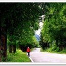 진안산소 이미지