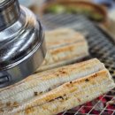 금강호 민물장어 이미지