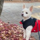 염주밝은약국 이미지