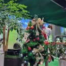 조아스크린골프연습장 이미지