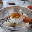 거북이 식당 이미지