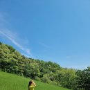 입화산 참살이 숲길(제1코스) | 울산 입화산 다운목장 초보 트레킹 등산코스