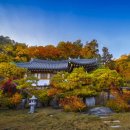 조선 왕가 이미지