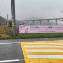 담양군금성면외추보건진료소 | 전라남도 담양군 금성면에서 제1회 산벚꽃 축제와 전국 사진촬영대회를 열어요.