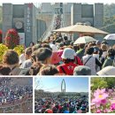 출렁다리(3) 이미지