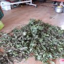 달뜨기흑염소목장 이미지