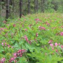 이유농장 이미지