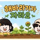 해바라기유치원 - 여수시 | 🌻 해바라기 성장 과정 무료 PPT 활동지 공유 (유치원·어린이집 자료)