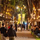 COZY GARDEN(코지가든) 이미지