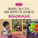 써스데이아일랜드모다천안 | 여름휴가로 에버랜드 36개월 미만 아기랑 동선 주차 평일 방문후기와 준비물 팁