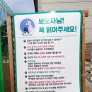 젠틀독 | 원주 애견카페 젠틀독 다녀온 후기!