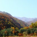 죽계농장 이미지