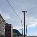 성산짬뽕 서귀포맛집추천 제주<b>짬뽕</b>의 진수, <b>성산</b><b>짬뽕</b>