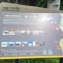 제주 서쪽 가볼만한 곳 무료 관광지 수월봉 방문 후기