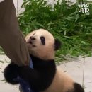 놀아줘 - 영등포구 선유동1로 6-7 | 놀아줘
