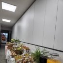 세무사정우성