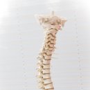 매곡동 주민센터 이미지