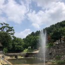 돌고개늘품 | 🐾장흥계곡에서 조카들과 힐링! 돌고개늘품 💦