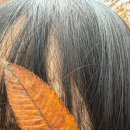 마장로384번길 이미지