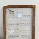 스테이느릿 | 원주 감성숙소 독채숙소 스테이느릿 솔직후기