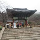 의병장 고광순순절비 이미지