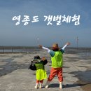 인천 영종도 미시안 갯벌체험 서해안 물때시간 아이와함께 찐후기