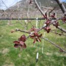 하늘농장4 이미지