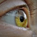 서울피부과의원 네이버블로그