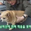 없음 이미지
