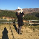 덕성목장 이미지