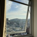 맹그로브 동대문 | 서울 동대문 맹그로브 1인실 후기 | 혼자 여행 숙소 추천(위치, 공용공간)