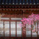 아산중앙약국 이미지