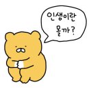 주공한라식육식당