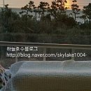 바다하우스 호스텔 이미지