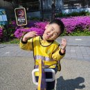 노해어린이공원 Daum카페