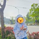 다소잉 이미지