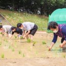 안양천(좌안) 이미지