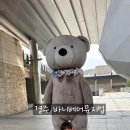 바니베어뮤지엄 | [경주] 경주 바니베어 뮤지엄 후기! 아이랑 가볼만한 실내 전시관