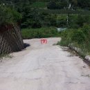 백둔리보건진료소 이미지