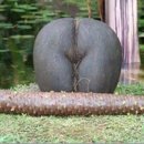 섹시코코 이미지