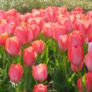 무궁화공원화장실(주차장) 이미지